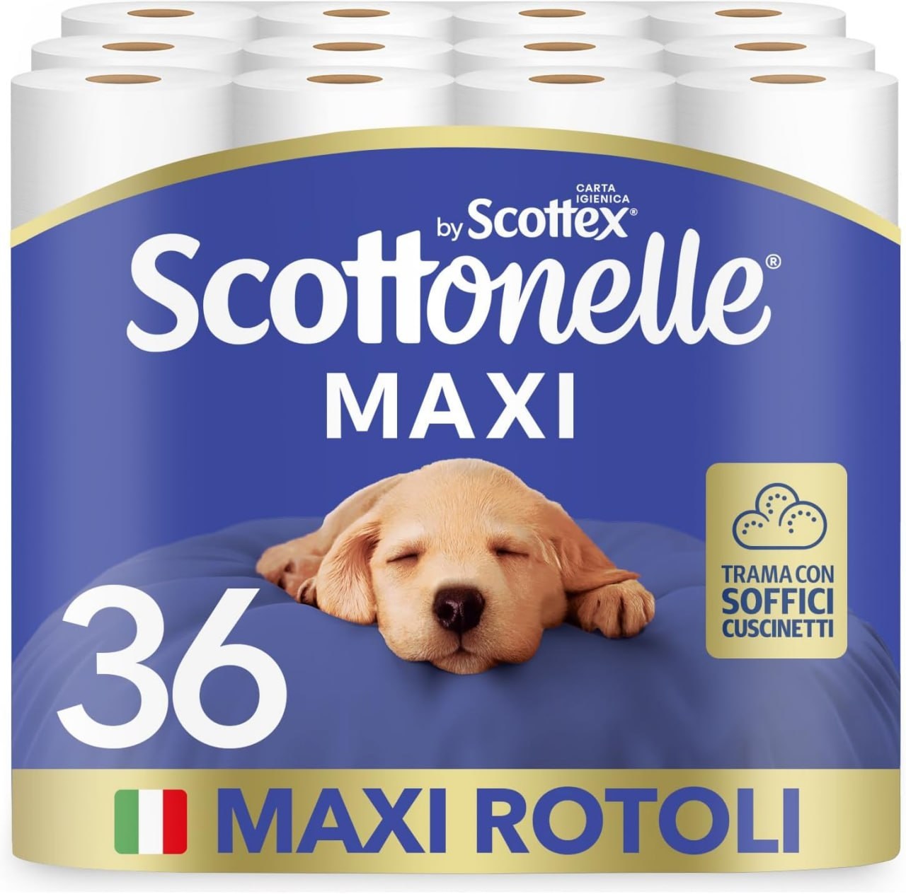 Scottonelle Igienica Morbida Resistente Dermatologicamente